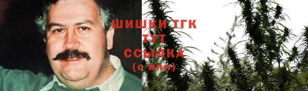 эйфоретик Баксан