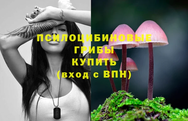 ECSTASY Надым