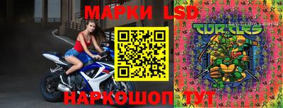 apvp Гусев