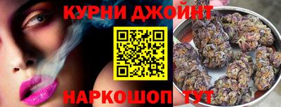 гидра Гусиноозёрск