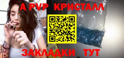 apvp Гусев